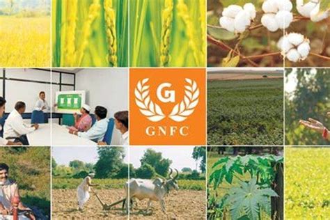 Gnfc Q Pat Rises Recommends Dividend Of Rs Per Share Industry