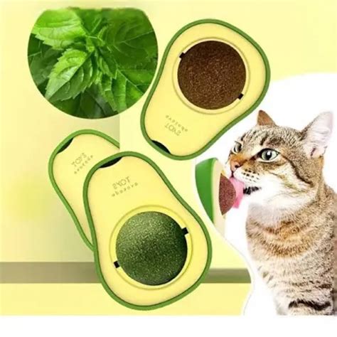 Brinquedo Para Gatos Catnip Erva Gato Natural Para Lamber Abacate