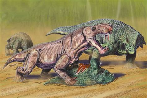 17 Best images about Paleo Art on Pinterest | Fossil, Prehistoric ...