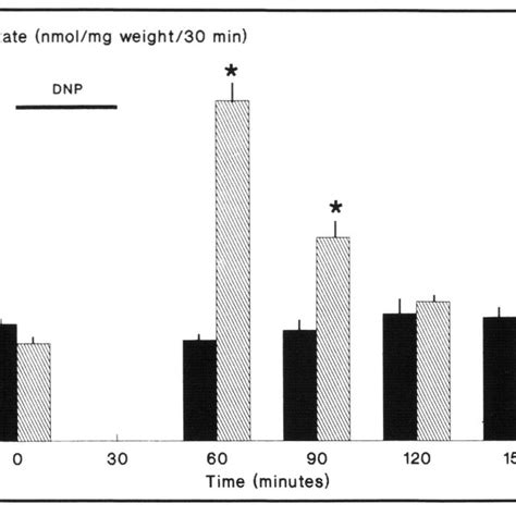 Contractile Force In Dnp 40pm Treated Muscles At 37 35 33 And 27°c