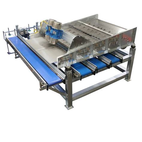 Kalibrierer Zur Inspektion L Allround Vegetable Processing B V