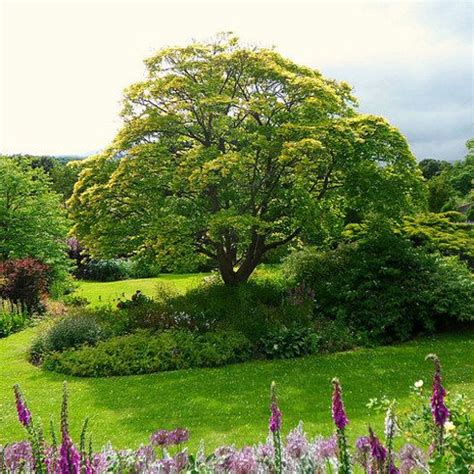 Start At Inveresk Lodge Garden Edinburgh Lodge Garden