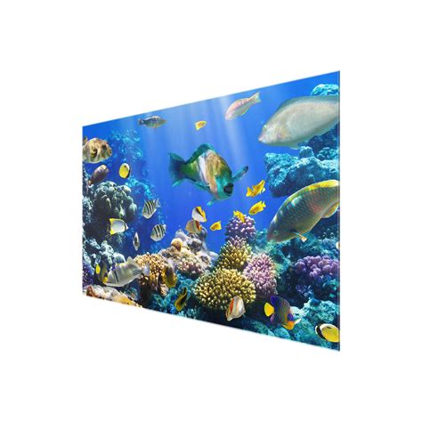 Glasbild Underwater Reef Quer