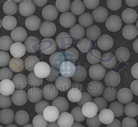 PMMA Microspheres - EPRUI Biotech