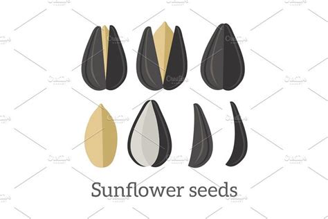 Sunflower Seeds | Sunflower seeds, Organic snacks, Seeds