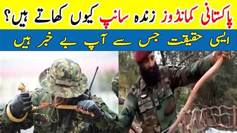 Pakistani SSG Commandos Training Pak Commandos Eating Snake YouTube