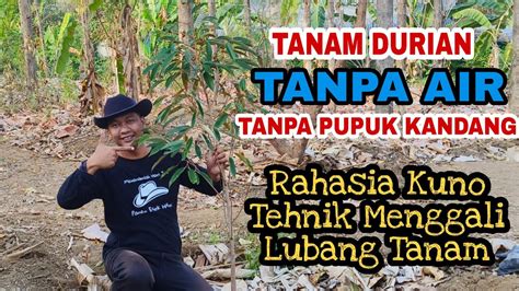 Tanam Durian Mangga Kelengkeng Tanpa Pupuk Kandang Pupuk Kimia