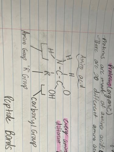 Organic Chemistry Flashcards Quizlet