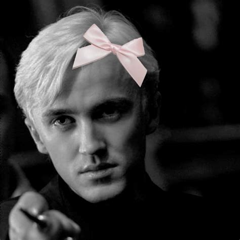 Ferret draco malfoy – Artofit