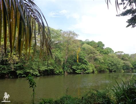 El Río Sapoá | Finca Cabañas Cañas Castilla - Costa Rica