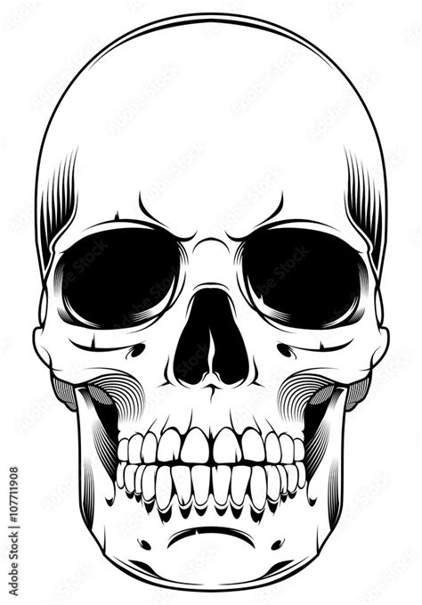 Skull Design Element Vector De Stock Adobe Stock