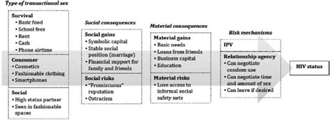 Conceptual Framework Of Transactional Sex Risk Download Scientific Diagram