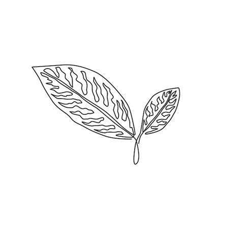 Un Dessin Au Trait Continu De Jolies Feuilles Tropicales Plante