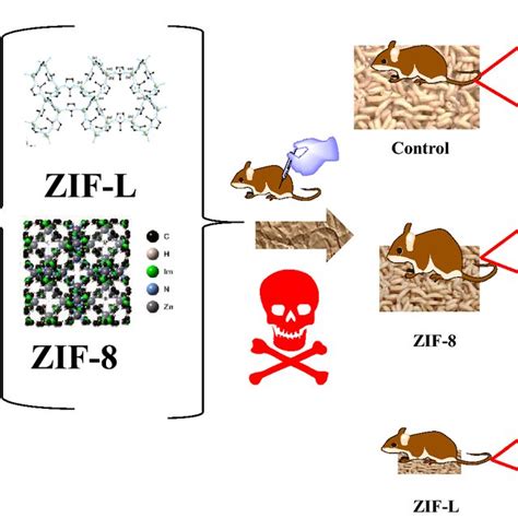 Characterization Of Zif And Zif L Using A Xrd And B Ft Ir Spectra