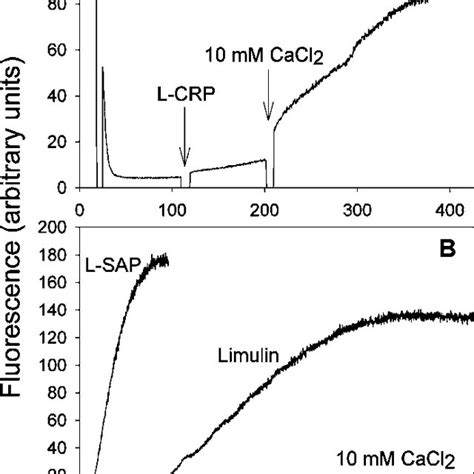 Liposome Permeabilization By The Lpx A Valinomycin Induced K Download Scientific Diagram