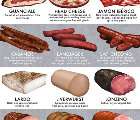 30 Cured Meats To Know Infographic Best Infographics