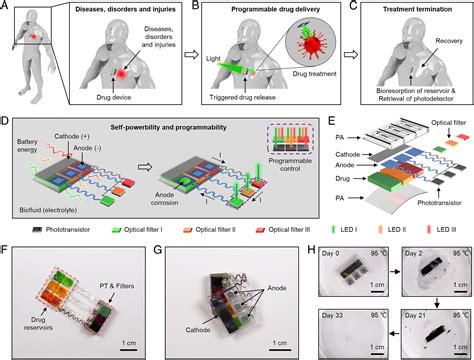 Self Powered Light Controlled Bioresorbable Platforms For Programmed