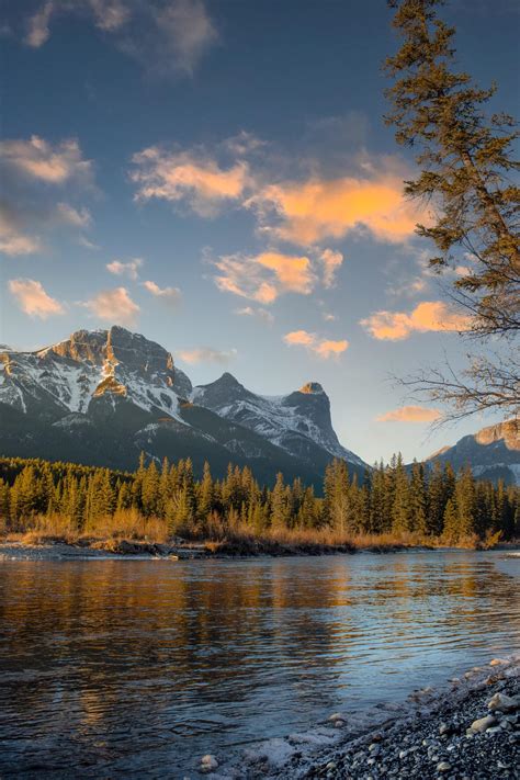 Best Policeman Images On Pholder History Porn Military Porn And Interestingasfuck