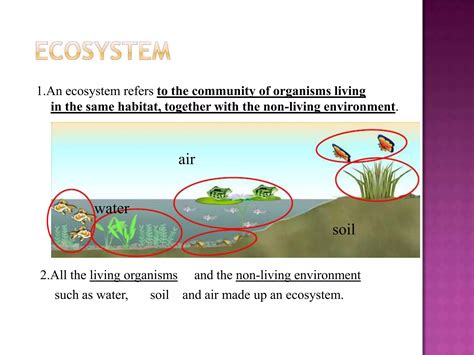 Chapter Interdependence Among Living Organisms And The Envirronment Ppt