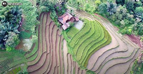 9 Potret Rumah Tengah Sawah Ini Punya View Seperti Lukisan Biar