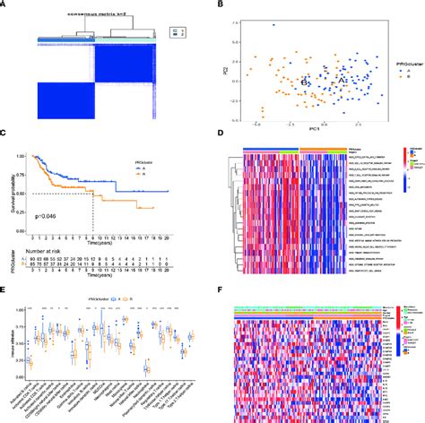 Subtypes Of Os Divided By Pyroptosis Related Regulators A Consensus Download Scientific