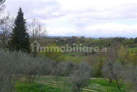 Asta Per Terreno Agricolo Via Poggio Pini Snc Molin Nuovo