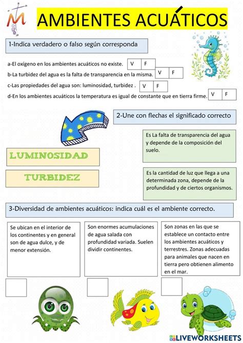 Ejercicio Interactivo De Ecosistemas Acu Ticos Tipos De Ecosistemas