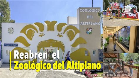 Reabren el Zoológico del Altiplano YouTube