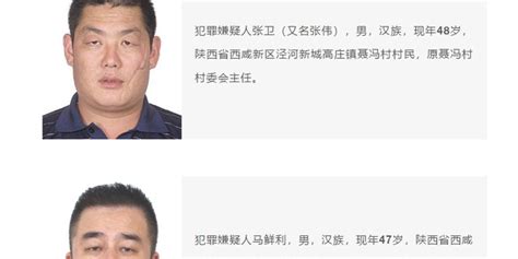 陕西省西咸新区警方征集一涉黑恶团伙犯罪线索：多名成员为村干部手机新浪网