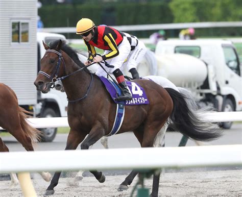 【安田記念】1番人気シュネルマイスター直線勝負で3着、ルメール騎手「もっと速いペースなら」 競馬写真ニュース 日刊スポーツ