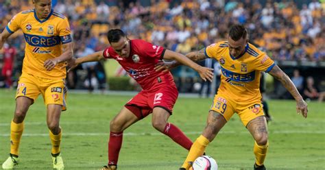 Liga Mx Horario Y D Nde Ver El Tigres Vs Lobos Buap De La Jornada