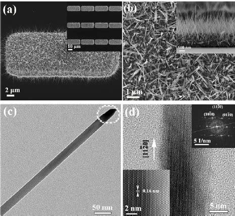 A Low Resolution Top View Sem Image Of As Grown Zno Nanowires B