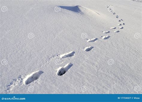 Pegadas Humanas Na Neve Profunda Imagem De Stock Imagem De Congelado