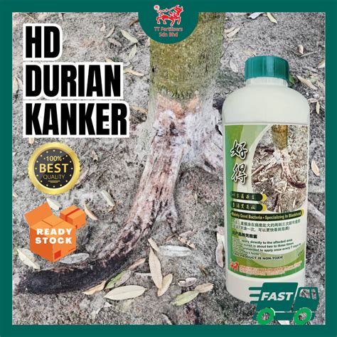 TT Fertilisers HD Untuk Durian Kanker Durian Pokok Canker Durian