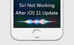 How To Fix Hey Siri Not Working After Ios Update Imobie