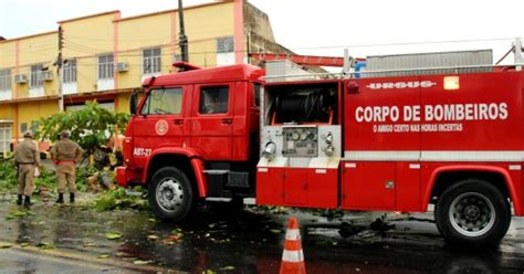 G1 Árvore cai em caminhonete e ruas alagam durante forte chuva no AM