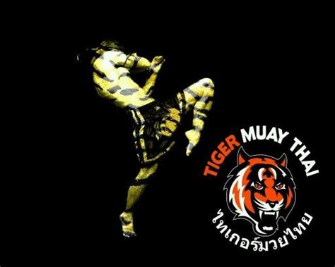 Tiger Muay Thai Artes Marciales Dibujos Marcial Arte