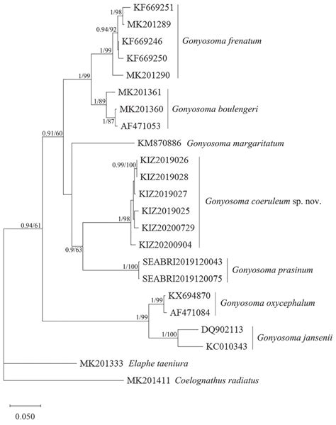 The Consistent Phylogram Inferred From Bayesian Inference And Maximum