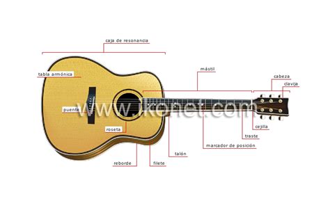 arte y arquitectura música instrumentos de cuerda guitarra