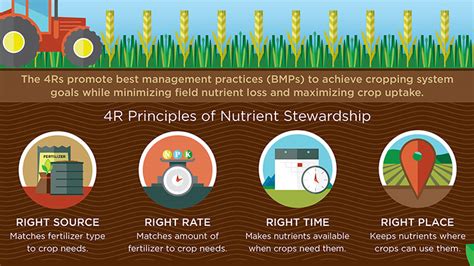 principles  fertilizer application balanced fertilization timing
