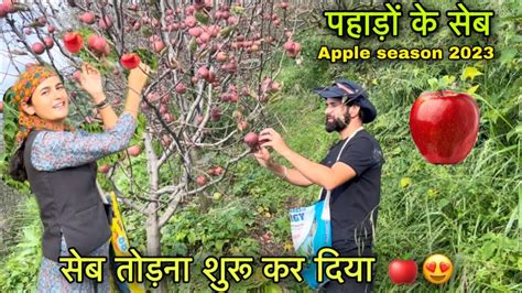 सब तडन शर कर दय Apple orchard in Shimla Pahadi