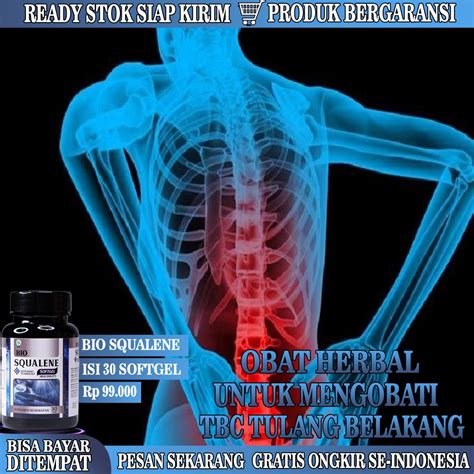 Jual Obat Tb Tulang Rusuk Obat Tbc Tulang Belakang Obat Thalasemia