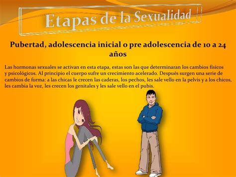 Etapas De La Sexualidad