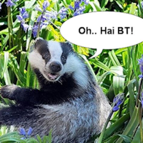 Evil Badgers Stall Bduk Bt Fibre Broadband Rollout In North Yorkshire