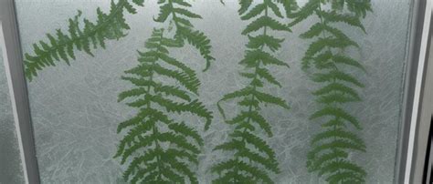 Fern Behind Frosted Glass Interior Premium Ai Generated Image