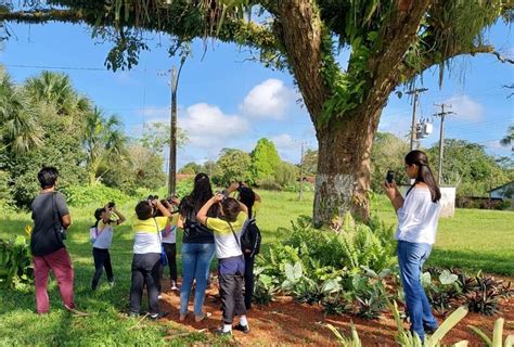 Crianças e adolescentes aprendem sobre preservação da Amazônia a partir