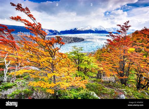 Patagonia Chile Glaciar Grey Es Un Glaciar En El Campo De Hielo Patagónico Sur En La