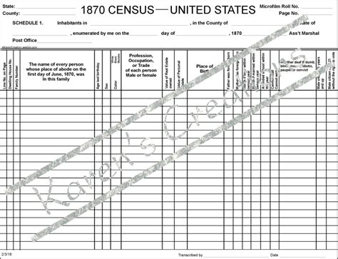 1870 Blank Census Form Instant Digital Download