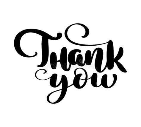 Thank You Text On White Background Hand Drawn Calligraphy Lettering