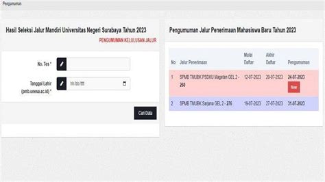 Cara Cek Pengumuman Jalur Mandiri Unesa Tmubk Psdku Magetan